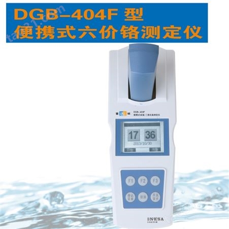 上海 雷磁 便携式 六价铬检测仪 DGB-404F 重金属 离子