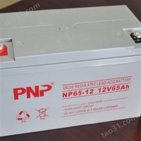PNP蓄电池NP12-100/12V100AH通信电源