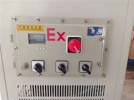 DFY（EX）-50L防爆型低温恒温搅拌反应浴槽