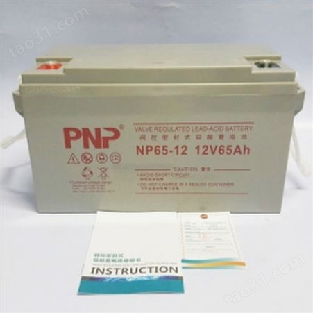 PNP蓄电池NP12-200/12V200AH铅酸蓄电池