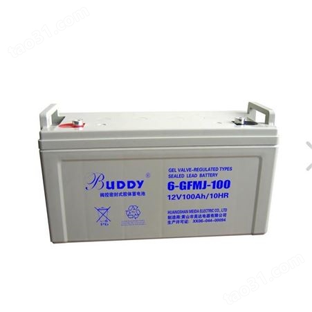 宝迪蓄电池6-GFM-100宝迪12V100ah蓄电池电池 UPS 直流屏