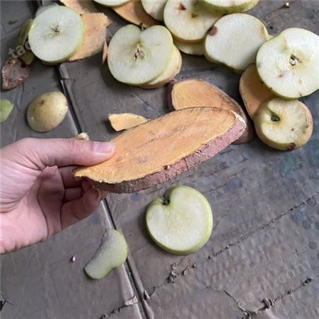 不锈钢厚度可调地瓜土豆切片器 商用柠檬水果蔬菜切片机