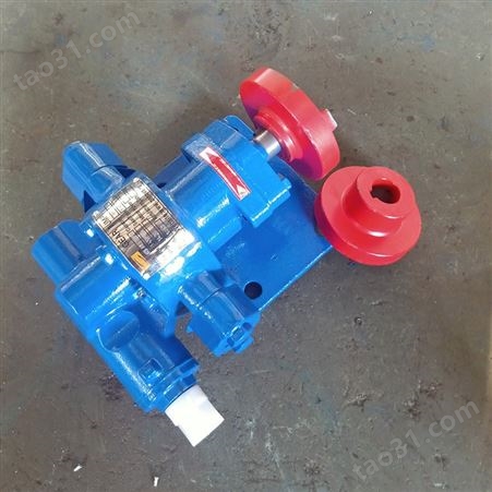齿轮油泵 小型泵 小流量齿轮泵 18.3齿轮泵 支持定制