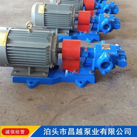 齿轮油泵 小型泵 小流量齿轮泵 18.3齿轮泵 支持定制