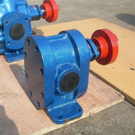 铸铁齿轮油泵 电动卧式润滑泵定做 小流量齿轮泵 性能平稳