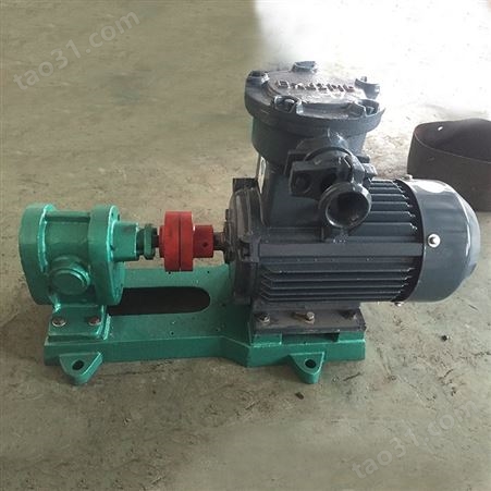铸铁齿轮油泵 电动卧式润滑泵定做 小流量齿轮泵 性能平稳