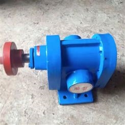 2CY化工齿轮泵 增压燃油泵 内啮合齿轮泵 生产供应