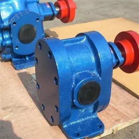2CY高压齿轮泵 不锈钢齿轮泵 齿轮式输油泵 