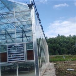 承建DX-1655型 广东梅州农业实训温室 智能温室大棚 含广东植物工厂建设 中农智造 中农