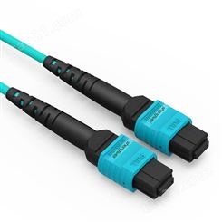 MPO集束光纤跳线_胜为单模光纤跳线_8芯集束光纤跳线