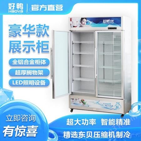 商用饮料陈列柜 好鸭电器 冷冻食品展示柜