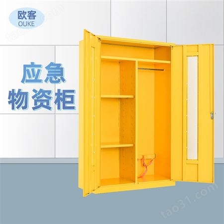 应急物资存放柜 钢制安全防护用品柜 防汛紧急防疫柜
