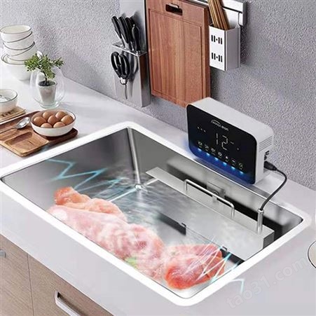 多功能洗菜机 臭氧洗菜机 洗菜机厂家 杀菌洗菜机