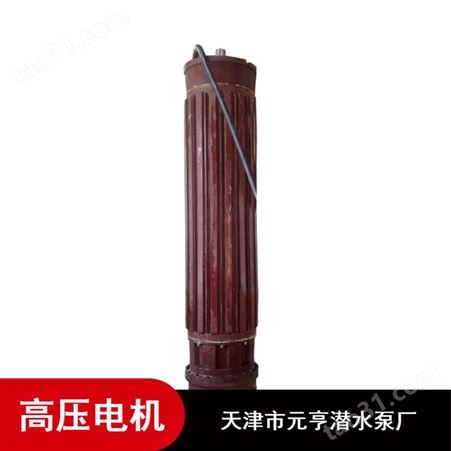 天津市不锈钢1178系列1140V高压潜水电机
