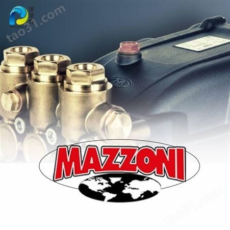 意大利进口MAZZONI 冷水清洗机 除锈清洗 畜牧业清洗设备 -K2000 电驱动