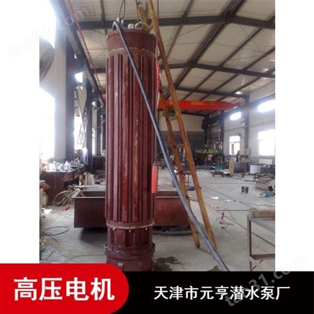 天津不锈钢1166系列3000V高压潜水电机市场