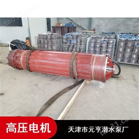 天津市不锈钢1178系列1140V高压潜水电机