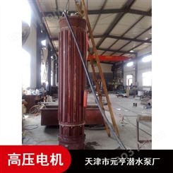 天津不锈钢1142系列1140V高压潜水电机批量供应