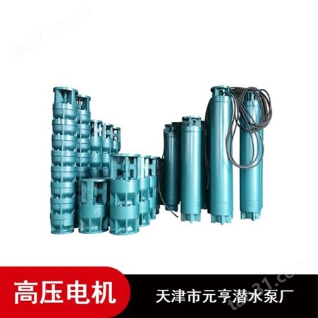 天津市立式1157系列3000V高压潜水电机批量供应