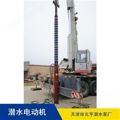 长期供应天津市高压卧式660V潜水电机