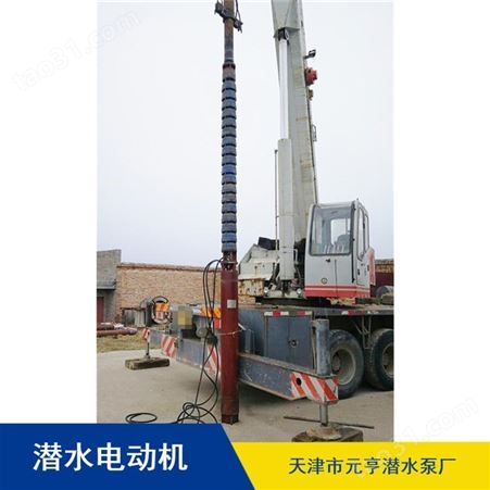 长期供应天津市高压卧式660V潜水电机