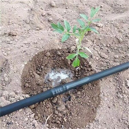 灌溉设备蔬菜大棚果树滴灌可用 内镶式滴灌管节水滴灌带 国泰浩德厂家供应