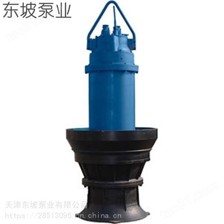 便携式潜水泵 污水排污泵 轴流潜水泵