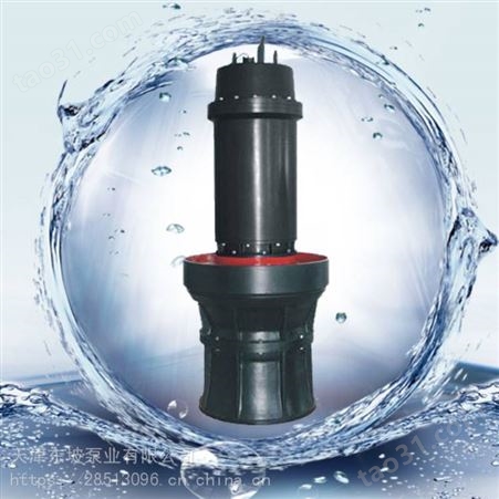 大流量轴流泵 便携式潜水泵 大流量防汛泵