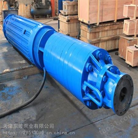 天津卧式潜水轴流泵-大流量变频潜水轴流泵