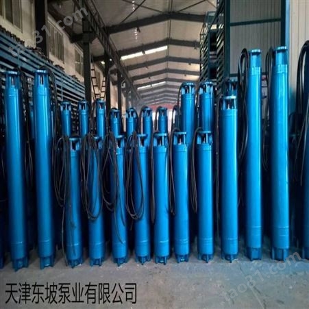 卧式潜水泵-天津东坡卧式潜水泵