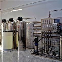 行业纯化水设备 纯化水设备反渗透厂家定制 嘉华新宝