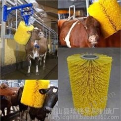 供应养牛场牛体按摩刷 奶牛清洗按摩刷 毛刷 批发零售纵向牛体刷