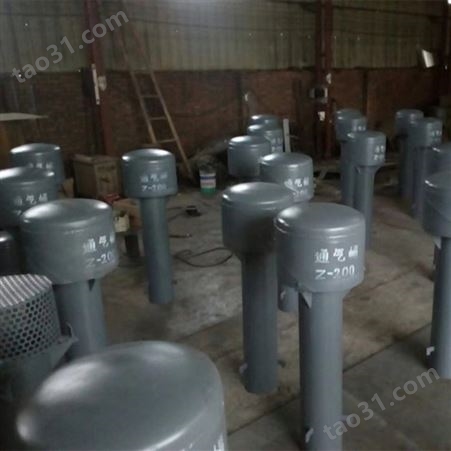 Z-200罩型通气管  立式罩型通气管生产厂家 水池罩型通气管作用