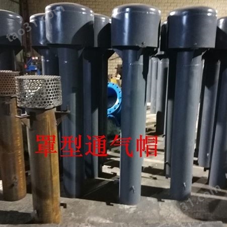 Z-200罩型通气管  立式罩型通气管生产厂家 水池罩型通气管作用