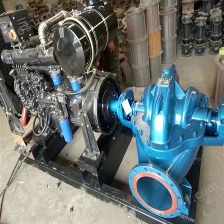 双吸泵 批发大流量双吸泵厂家12SH-13双吸泵 双吸泵型号参数 博泉泵业