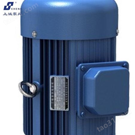 离心泵 ISG管道离心泵150-250A 上诚泵阀