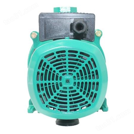 威乐水泵 PUN-751EH小型离心泵 20m额定扬程 家庭和花园供水使用 可选型210605