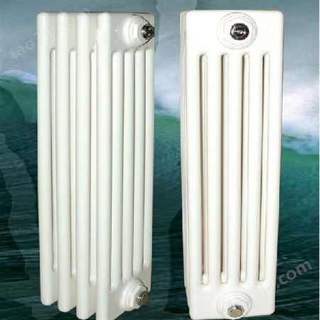 钢五柱暖气片 GZ506 落地式散热器 暖之春 厂家生产
