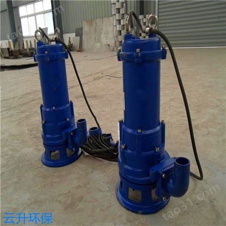 厂家供应 一体化泵站专用AF型双绞刀泵 质量保障