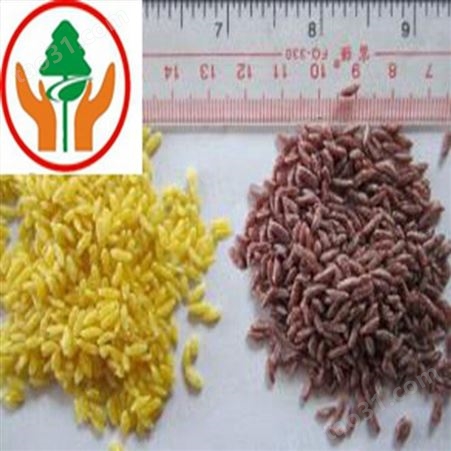 人造营养米生产线