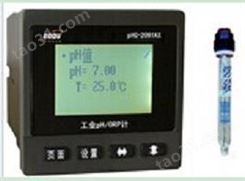在线PH计PHG-2091AX高温在线PH/ORP仪