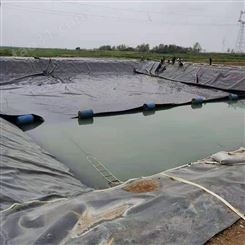 厂家定制养猪场沼气池黑膜 蓄水池防渗膜 河道鱼塘养殖hdpe土工膜
