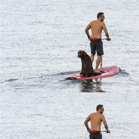 水上动力冲浪板 浆板冲浪板滑水板 站立式划桨板
