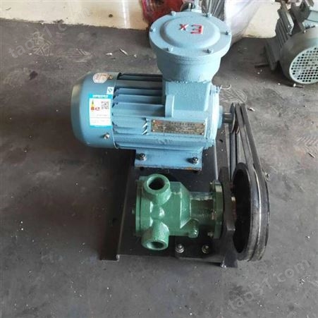 高粘度转子泵产地 节能型高粘度转子泵齿轮泵 供应卧式高粘度转子泵