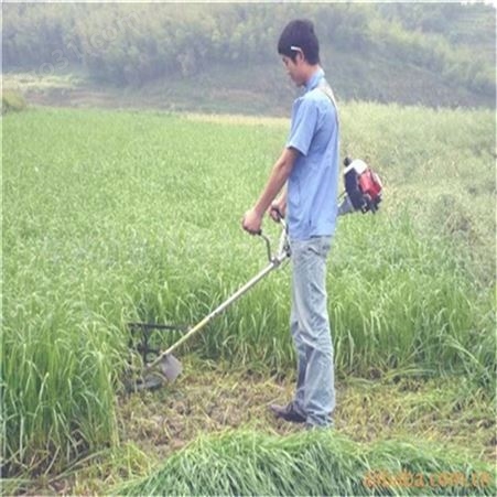 农用割草机纯电动新品 锂电背负式除草机新型除草设备