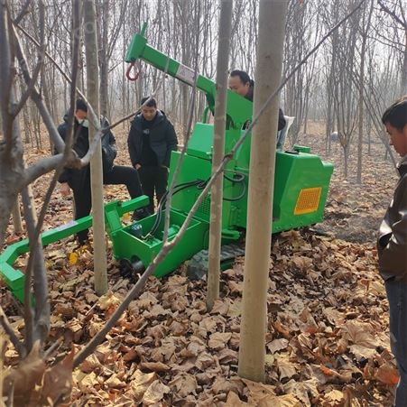 多地形园林木业挖树机 定做履带式活树移栽机 全新多地形挖树机价格