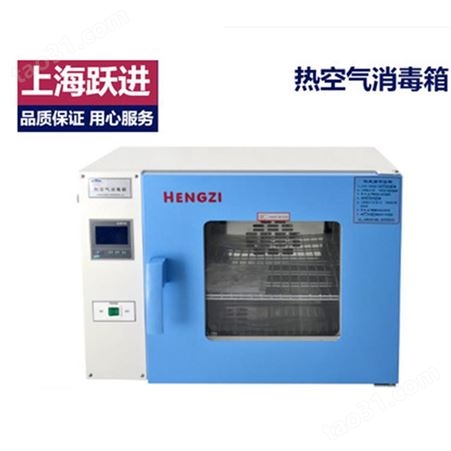 HGRF-9123消毒箱 热空气消毒箱 上海跃进消毒箱