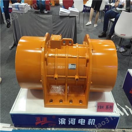 滨河电机 三相异步电动机 YBZX-50-2防爆振动电机 防爆振动电机型号