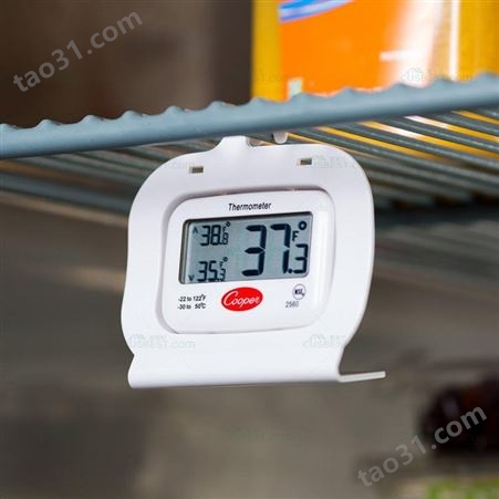 Cooper-ATKINS 2560 冷柜、冷库电子温度计(数字式)