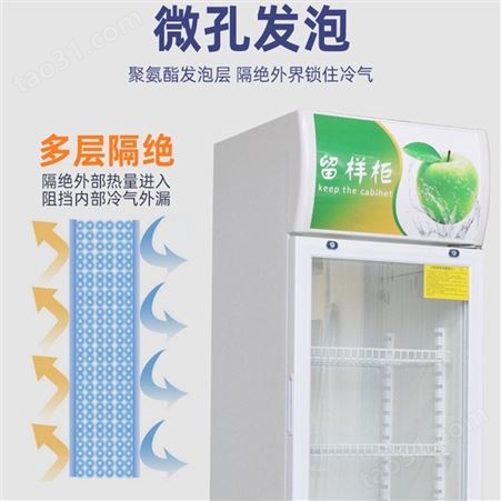 小型留样保鲜柜 广东食品留样冰箱食堂食品冷藏柜